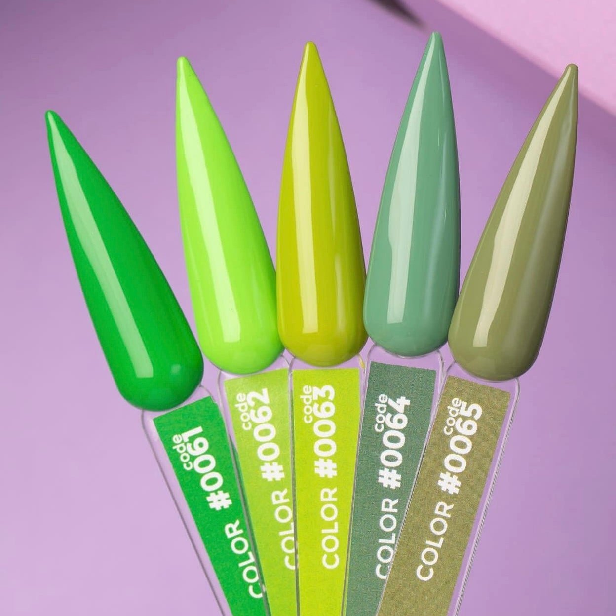 GEL POLISH COLOR #0065 12ml - DNKa™-1